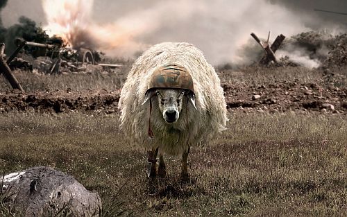 warsheep